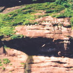 Québec - Île Bonaventure