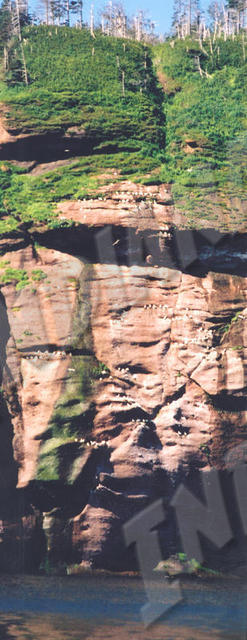 Québec - Île Bonaventure