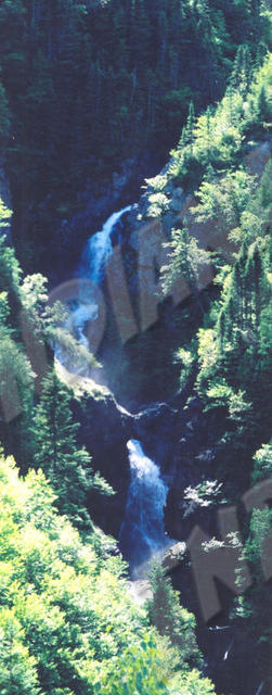 Québec - Parc de la Gaspésie