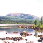Québec - Parc de la Gaspésie