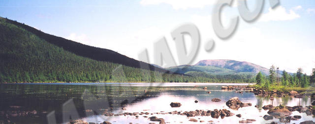 Québec - Parc de la Gaspésie