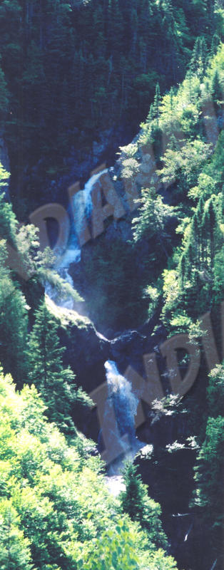 Québec - Parc de la Gaspésie