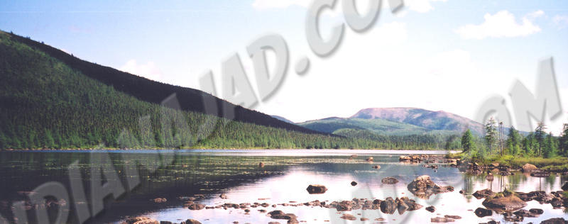 Québec - Parc de la Gaspésie