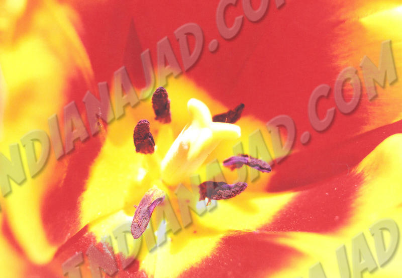 Ontario - Ottawa