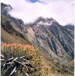 Machu - Route des Incas