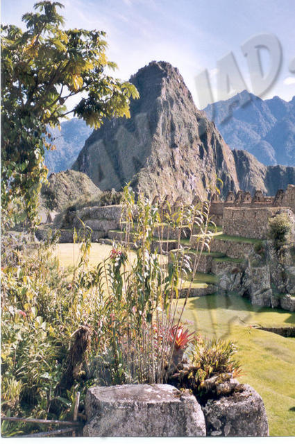 Machu Picchu