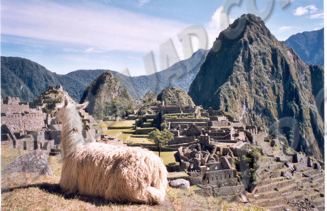 Machu Picchu