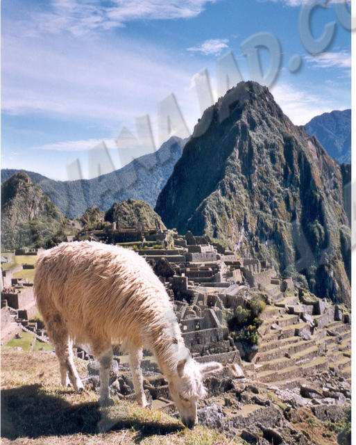 Machu Picchu