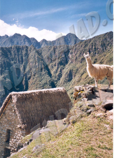 Machu Picchu