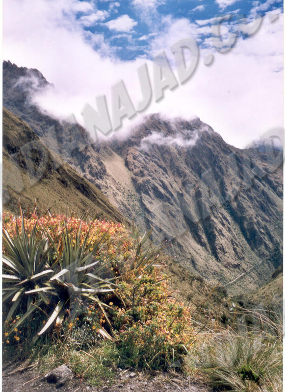 Machu - Route des Incas