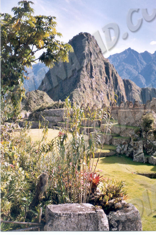 Machu Picchu