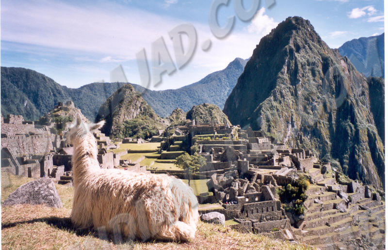 Machu Picchu