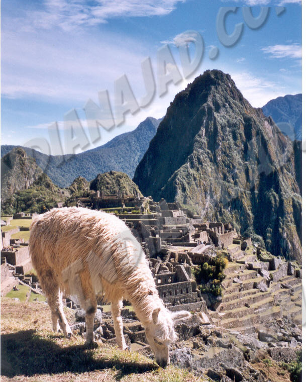 Machu Picchu