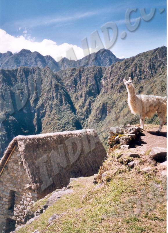 Machu Picchu