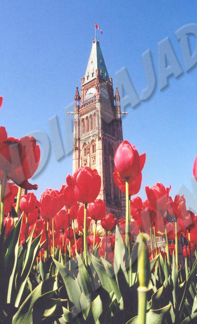 Ontario - Ottawa