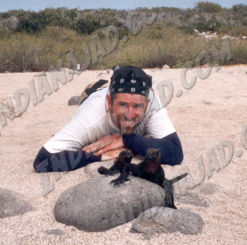 Galapagos - Île Seymour