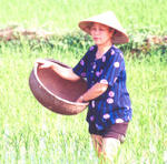 Chua Huong