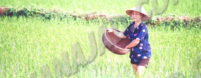 Chua Huong