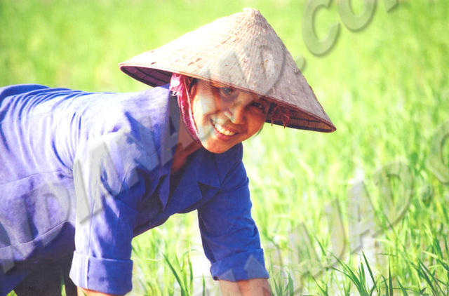 Chua Huong