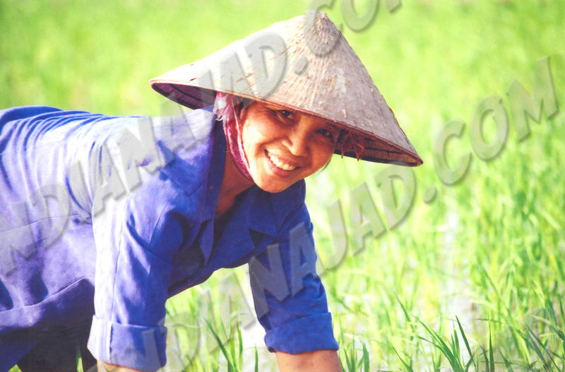 Chua Huong