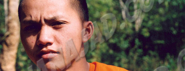 Pak Lai