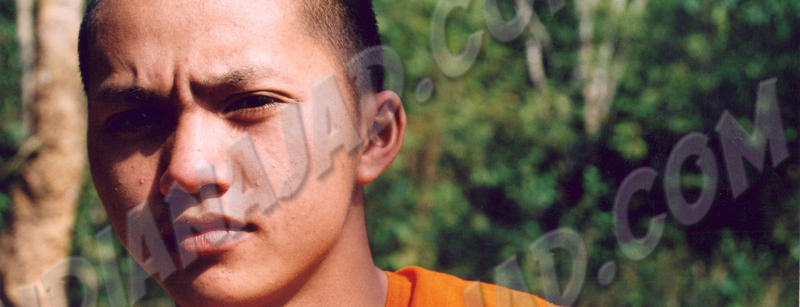 Pak Lai