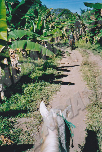 Île d'Ometepe