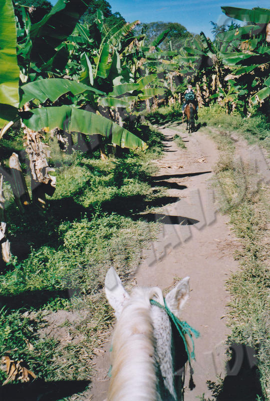 Île d'Ometepe