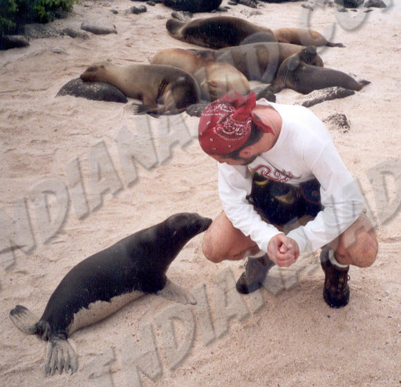 Galapagos - Île Española