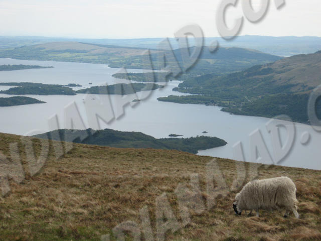 Écosse - Loch Lomond