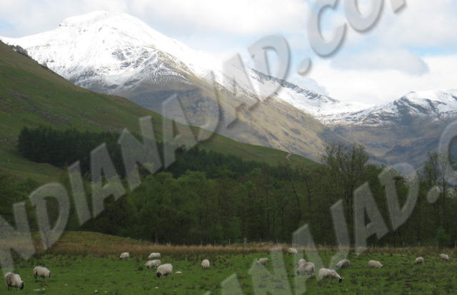 Écosse - Glen Nevis