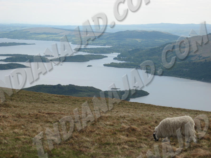 Écosse - Loch Lomond