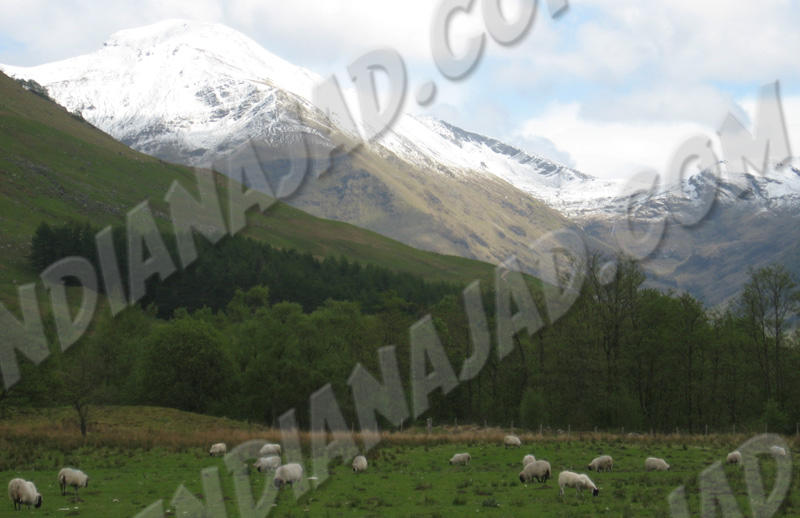 Écosse - Glen Nevis