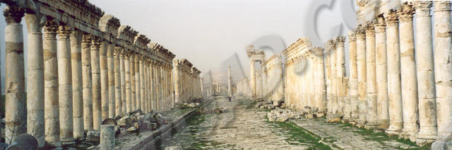 Apamea