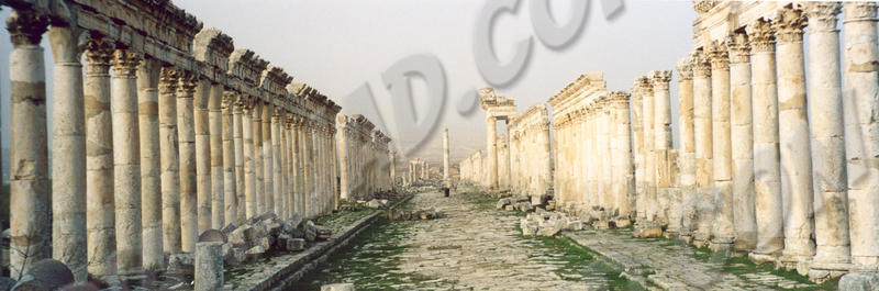 Apamea