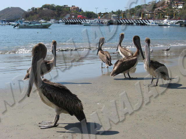 Zihuatanejo