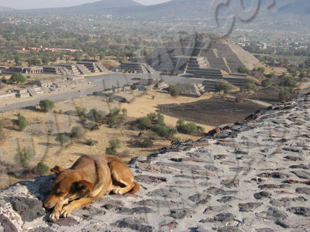 Teotihuacán
