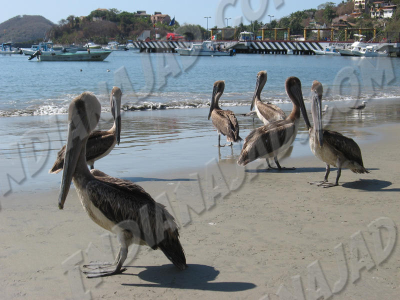 Zihuatanejo