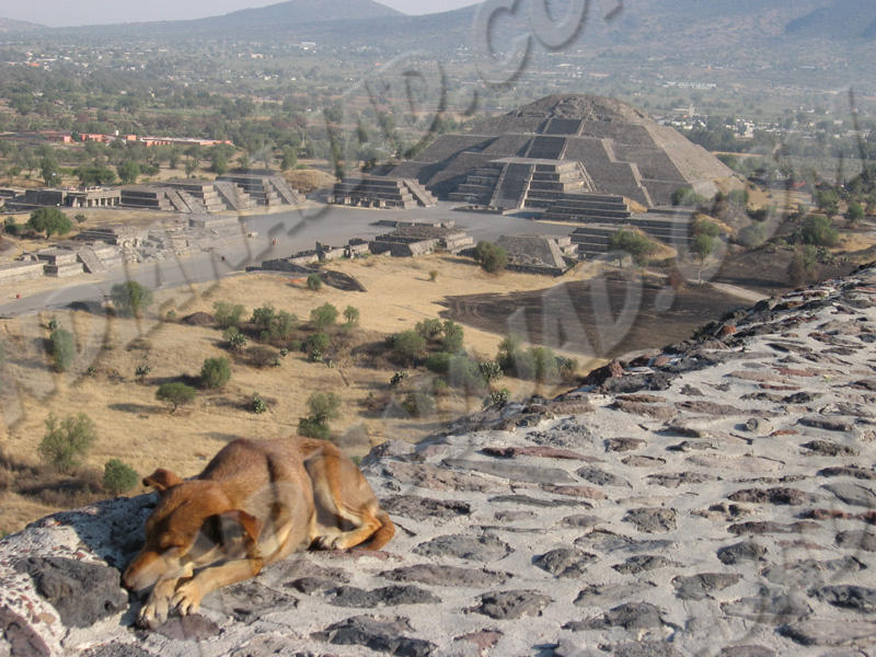 Teotihuacán
