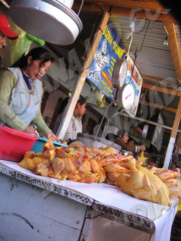 San Cristóbal de Las Casas