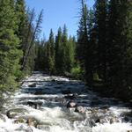 Wyoming - Powder River Pass
