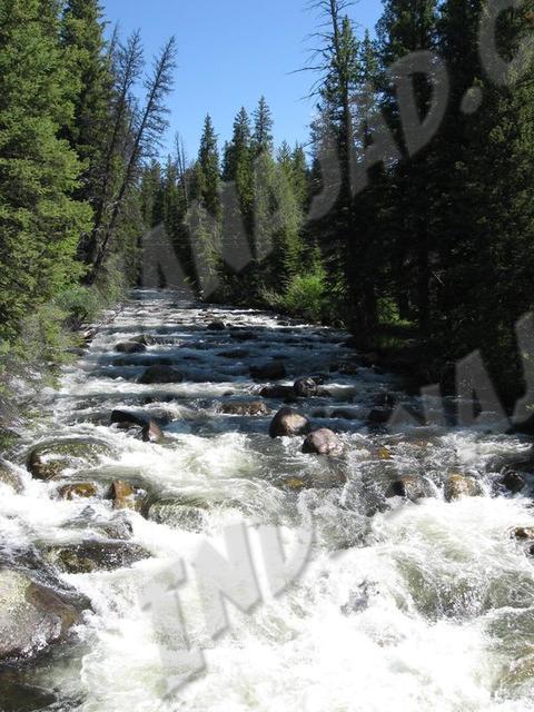 Wyoming - Powder River Pass