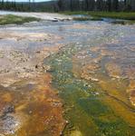 Wyoming - Yellowstone