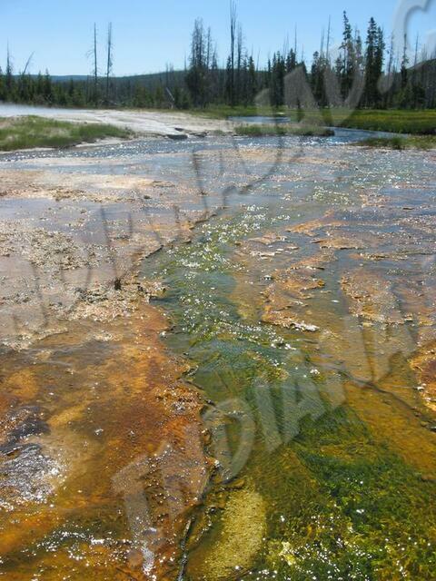 Wyoming - Yellowstone