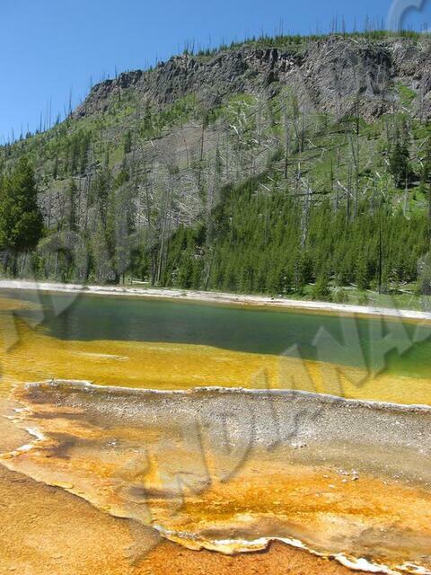 Wyoming - Yellowstone