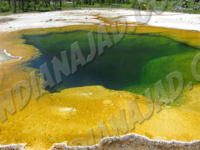 Wyoming - Yellowstone