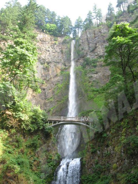 Washington - Chute Multnomah
