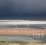 Sud-Ouest - Laguna Colorada