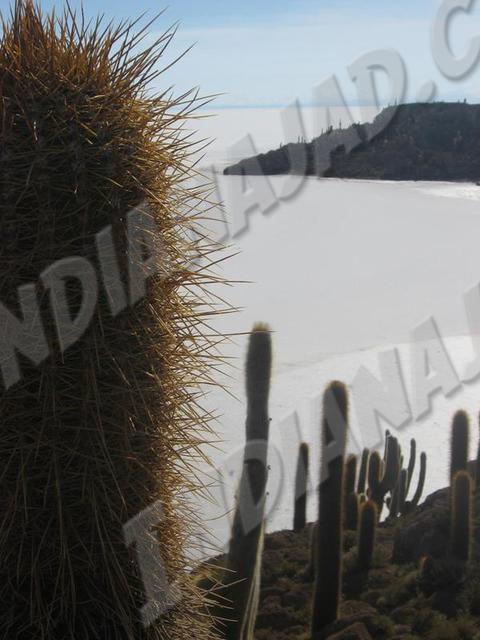 Salar de Uyuni