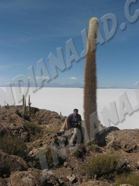 Salar de Uyuni